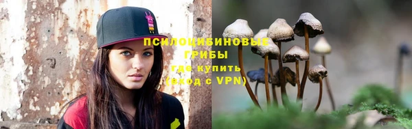 не бодяженный Няндома