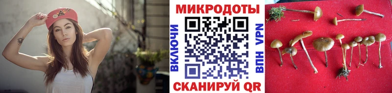 Псилоцибиновые грибы мицелий  купить   Хилок 